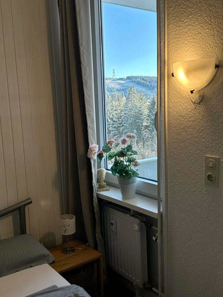 App 507 Bocksbergblick Im Ferienpark Hahnenklee Haus 1 Goslar Extérieur photo